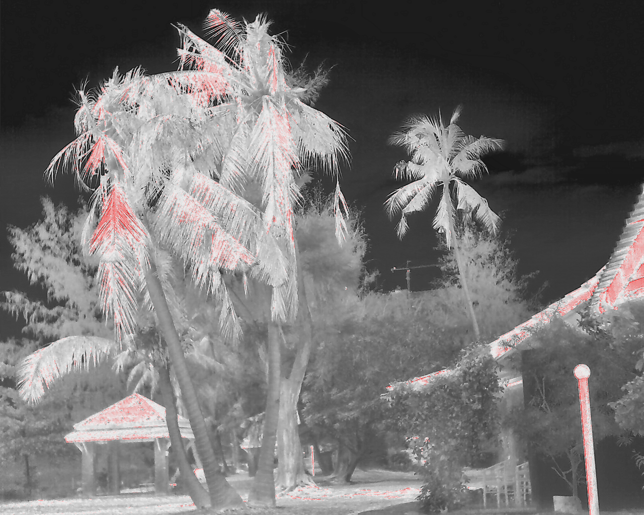 Infrared Technology: A Clearer Vision for Power Systems