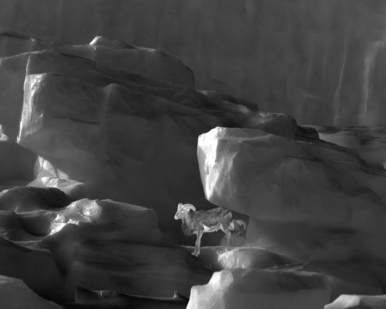 Infrared Technology: Unveiling the Secrets of Surface Temperature